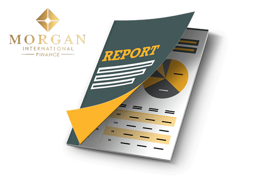 Download Reports